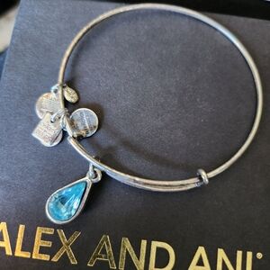 Alex and Ani bracelet living water